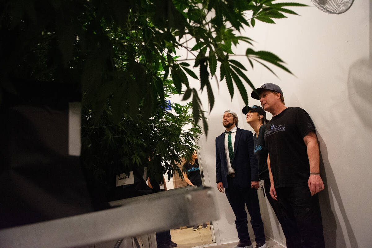 From left, Will Adler, a lobbyist representing the Sierra Cannabis Coalition, and The Real McCo ...