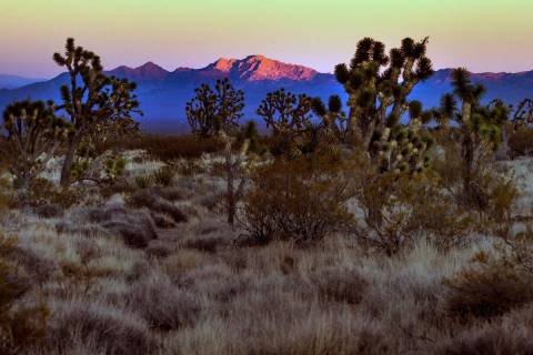 Spirit Mountain reflects the last glow of sunlight within the Avi Kia Ame on Tuesday, March 1, ...