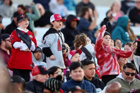 Fans cheer during the first half of a XFL football game between the Seattle Sea Dragons and the ...