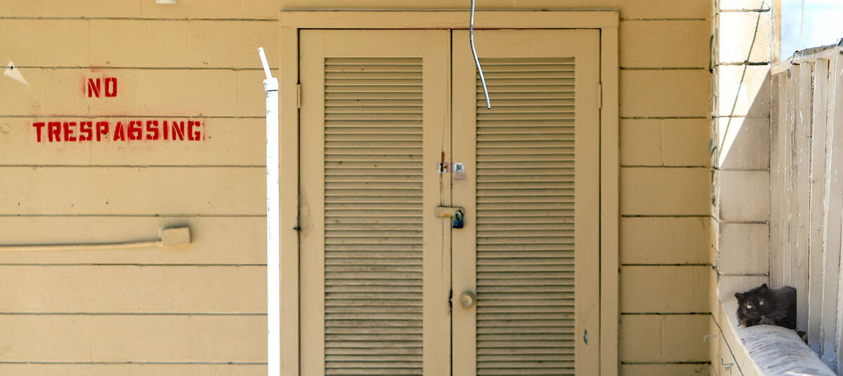 A feral cat relaxes in the shade at the closed White Sands Motel on the Strip in Las Vegas, Tue ...