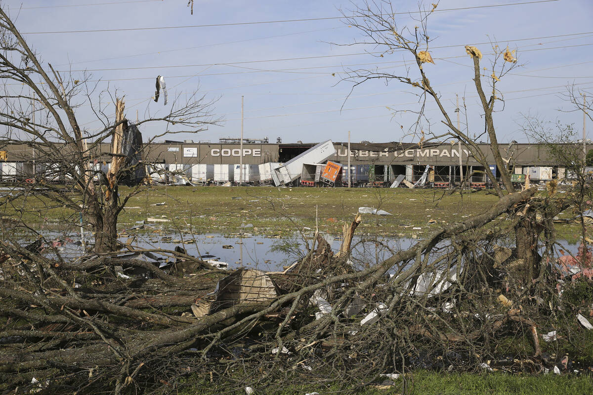 The broken and damaged trees along U.S. Hwy 45 South are covered with metal and other materials ...