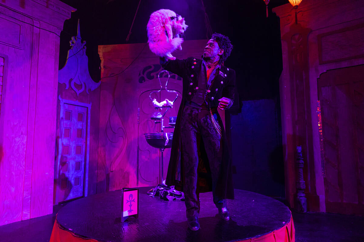 Magician Mondre reveals a cat while performing in the The Seance Room at Lost Spirits Distiller ...