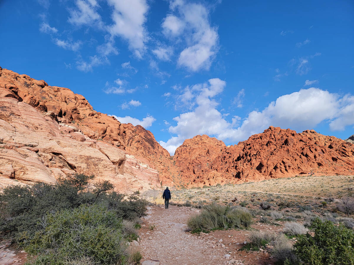 Popular with hikers and rock climbers, the Calico Basin area of Red Rock National Conservation ...