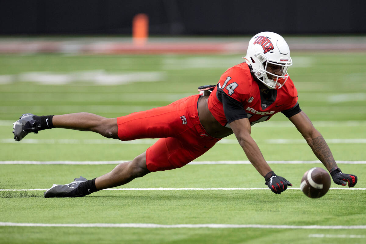 Wide receiver Zyell Griffin (14) dives for the ball during the UNLV spring showcase game at All ...