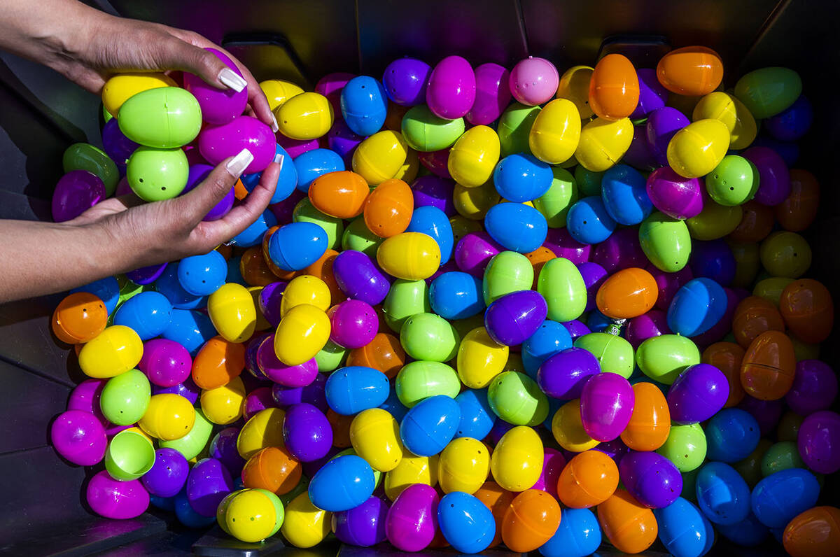 More eggs are scooped up to be spread about a field for the next hunt during the annual Spring ...