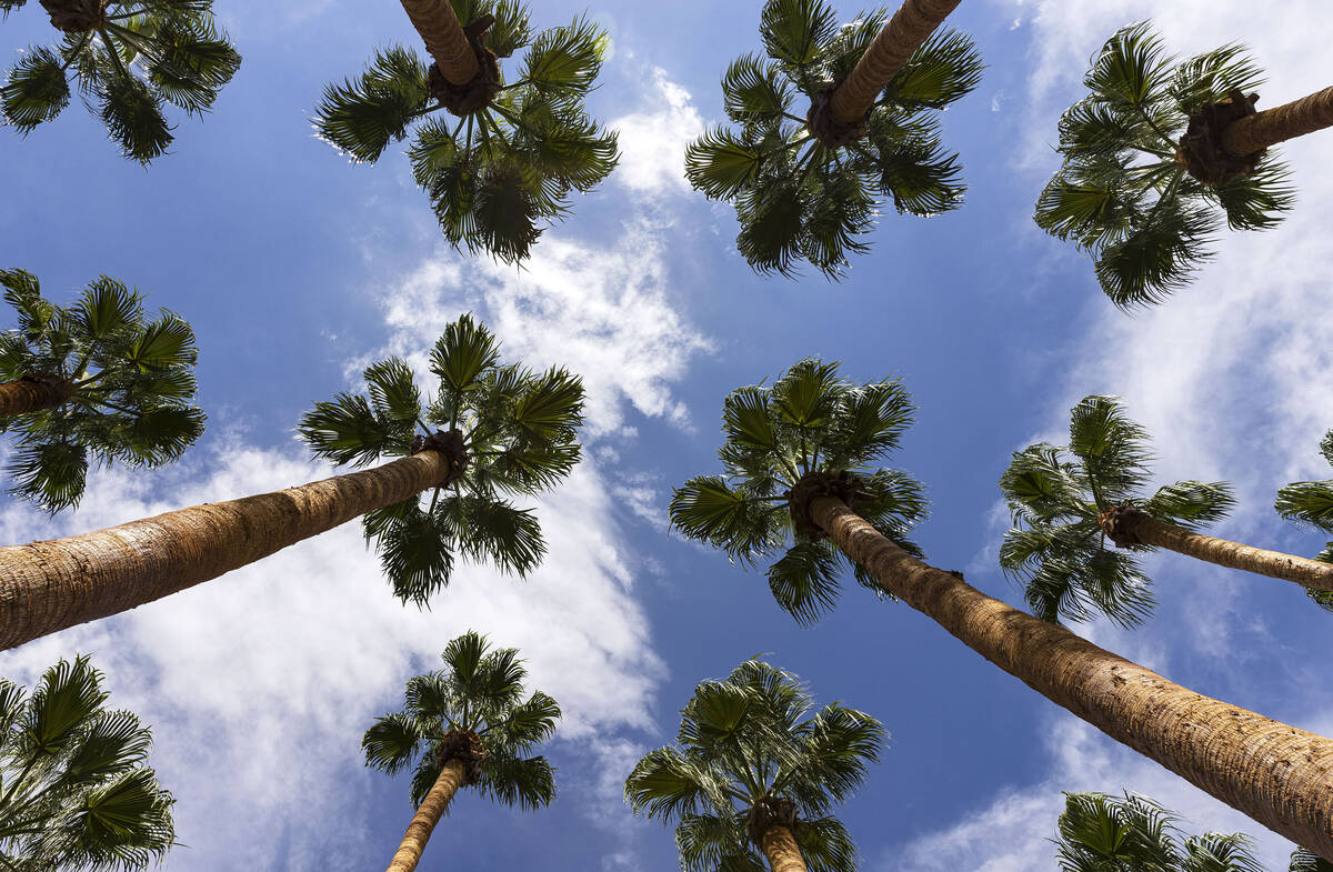 A high near 89 is forecast for the central Las Vegas Valley on Monday, April 10, 2023, accordin ...