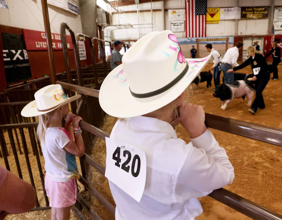 Kinzie Probst, 10, of Logandale, right, and her sister Oakley Probst, 5, watch the Senior Showm ...