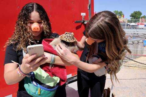 Salome, left, Lily, both 14 of Saint George, Utah, pose with a piglet after the Swifty Swine Pi ...