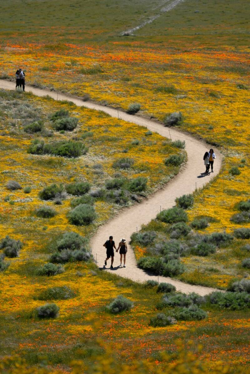 Visitors walk on a pathway at the Antelope Valley California Poppy Reserve, Monday, April 10, 2 ...