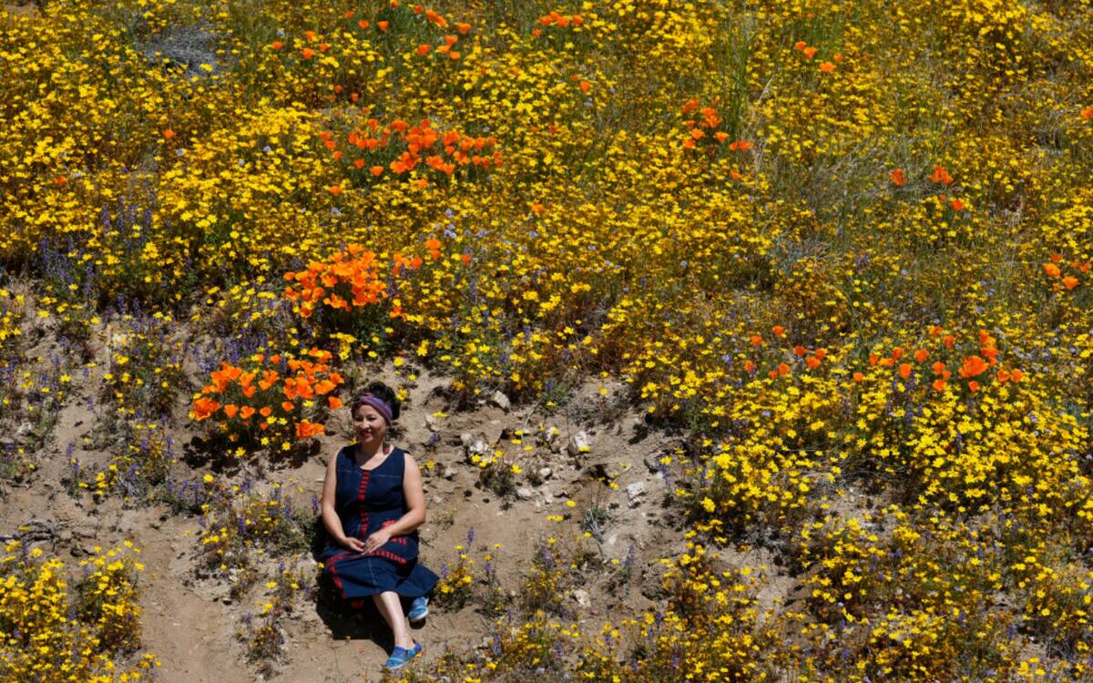 A visitor poses for a photo near the Antelope Valley California Poppy Reserve, Monday, April 10 ...