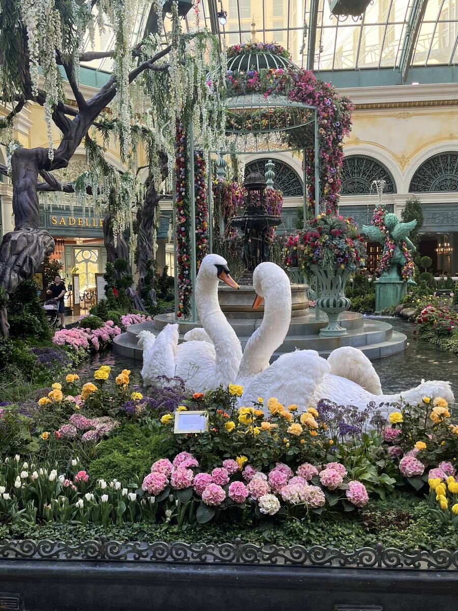 Bellagio Conservatory & Botanical Garden, 3600 Las Vegas Blvd. South. (Justin Razavi/Las Vegas ...