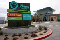 The Animal Foundation in Las Vegas. (K.M. Cannon/Las Vegas Review-Journal)