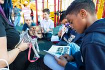 First grade student Aurion, 7, reads to Reba, a puppy from Heaven Can Wait Animal Society who w ...