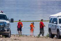 Human skeletal remains were found at Boulder Beach in the Lake Mead National Recreation Area in ...