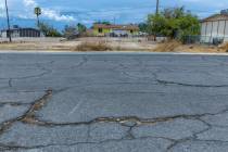 The roads are all cracked as this one off of North Andrew Circle within the Windsor Park subdiv ...