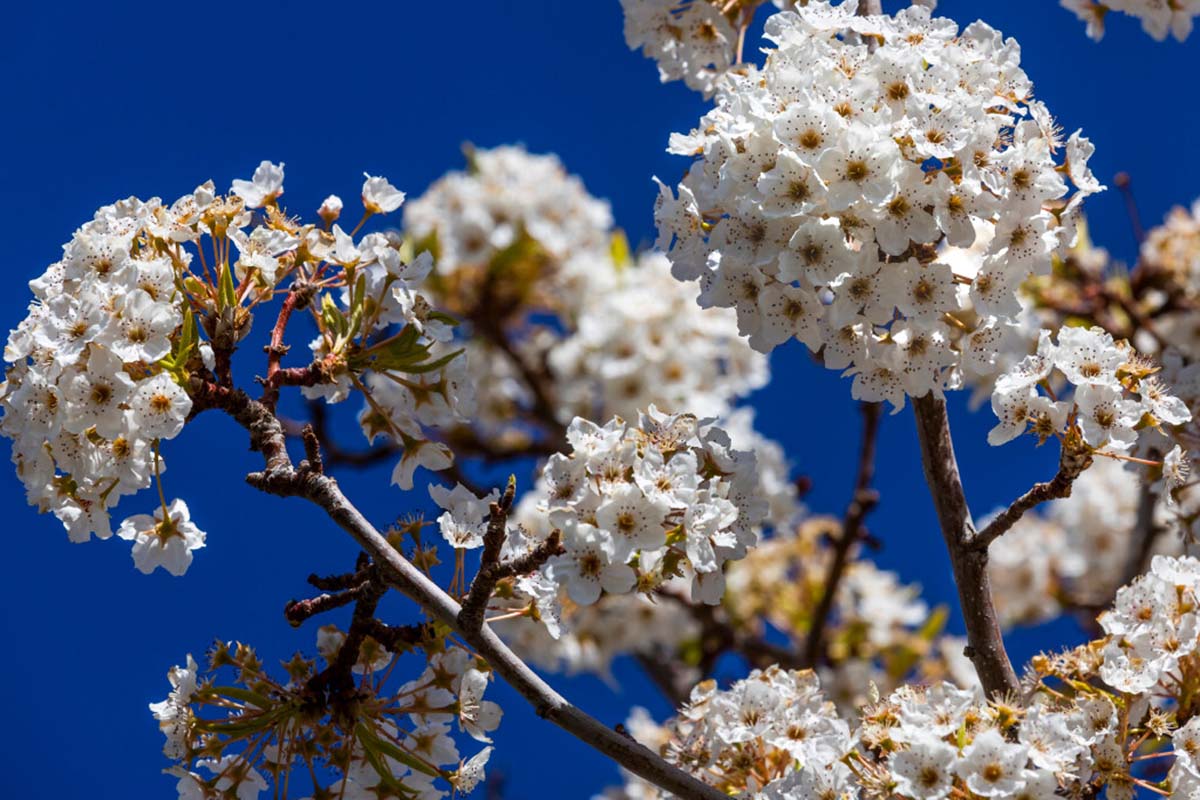 Las Vegas weather for Friday, April 7, 2023 | Las Vegas Review-Journal - Vimarsana News