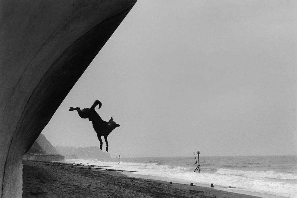 "The Joy of Flight, Teignmouth, 2000" by Roger Deakins