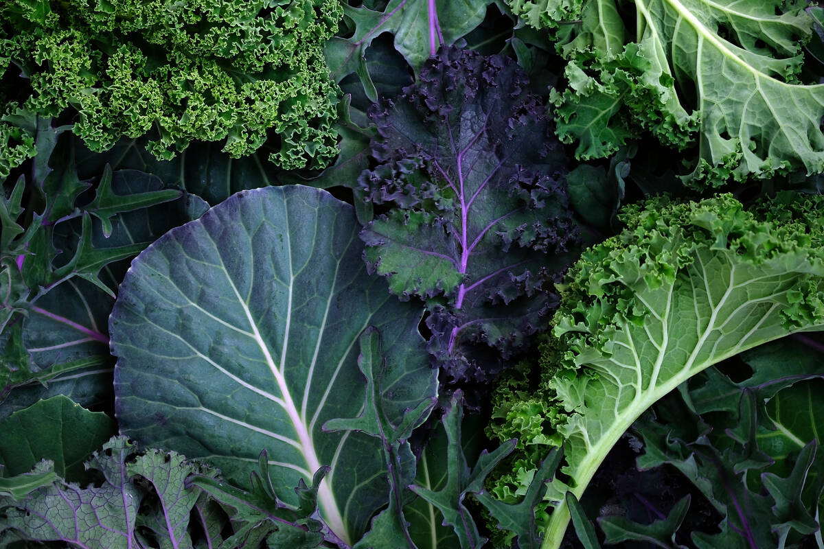Kale contains high amounts of vitamins A, B6, C, K, folate, fiber, carotenoids and manganese. ( ...