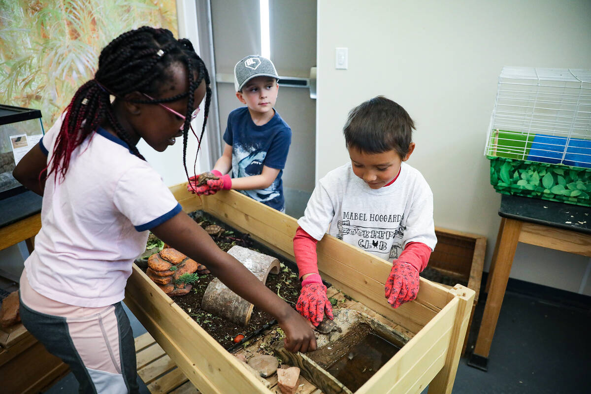 Di dalam lab hewan Hoggard Math & Science Magnet School