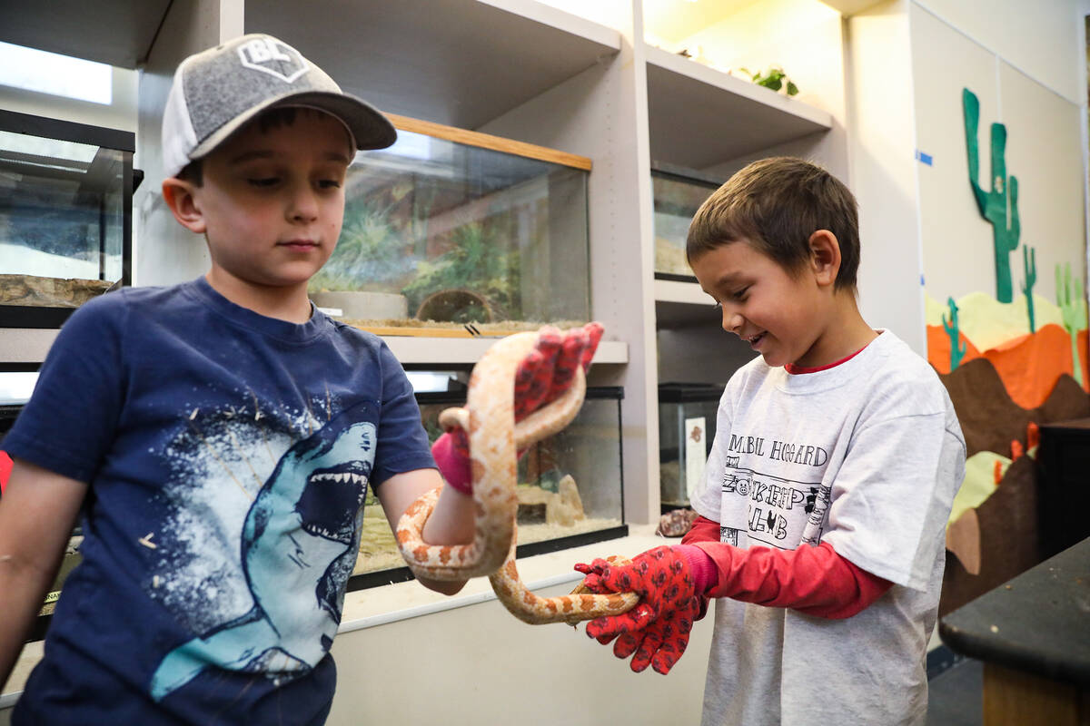 Finn Thompson, 7, left, and Caleb Cruz, 7, right, hold a corn snake named Flash at Hoggard Math ...