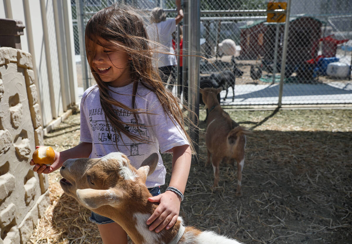 Bella Cruz, 9, feeds a goat named S’mores at Hoggard Math & Science Magnet Elementar ...