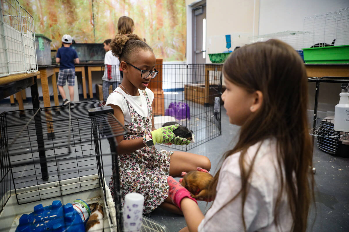 Cadence Lewis, 9, left, holds a hamster named Midnight as Bella Cruz, 9, right, holds a hamster ...
