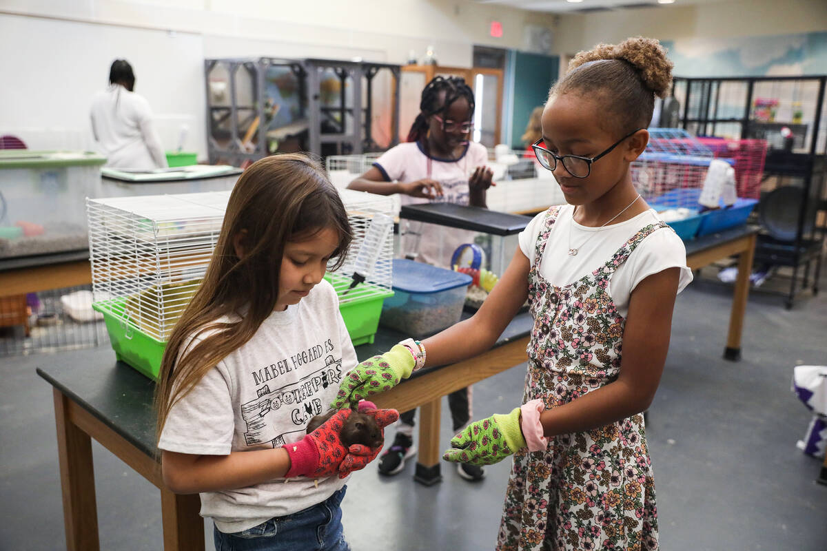Bella Cruz, 9, left, and Cadence Lewis, 9, right, hold a black bear hamster named Brownie at Ho ...