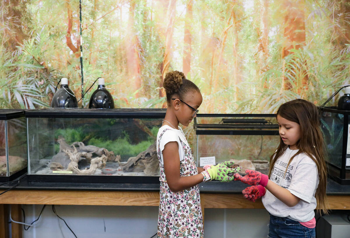 Cadence Lewis, 9, left, and Bella Cruz, 9, right, hold a African fat failed gecko name Mikey at ...