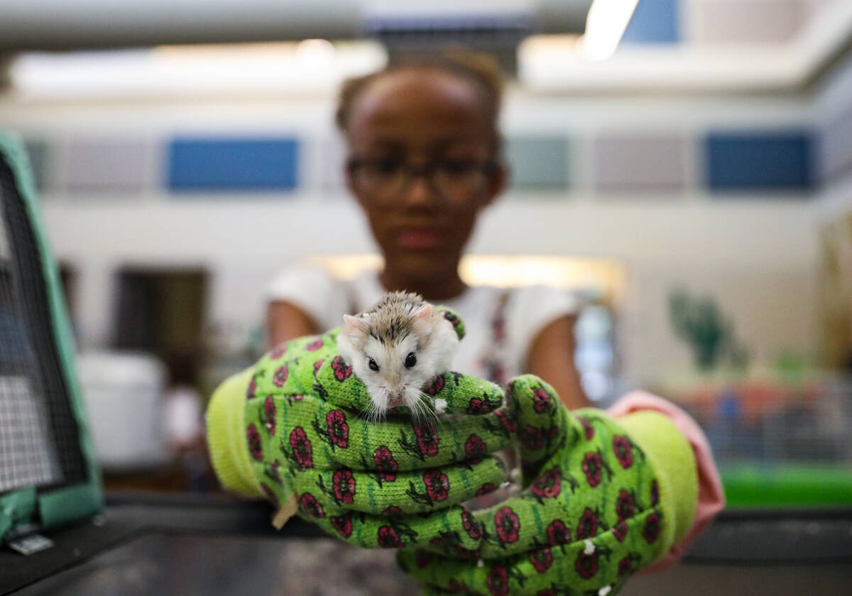 Cadence Lewis, 9, holds a hamster at Hoggard Math & Science Magnet Elementary School in Las ...