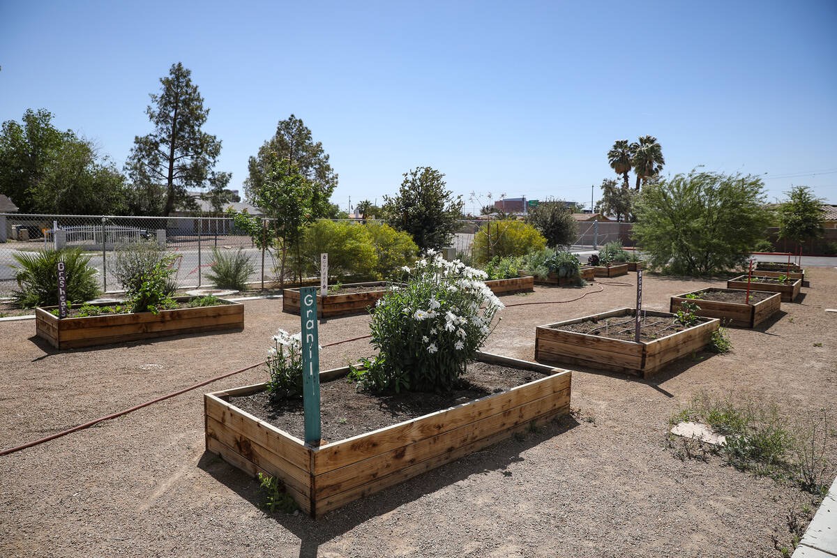 The garden at Hoggard Math & Science Magnet Elementary School in Las Vegas, Tuesday, April ...