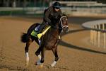 Odds, horse-by-horse analysis for Kentucky Derby