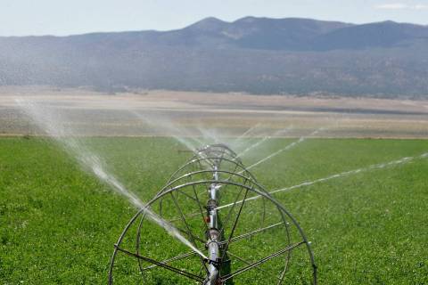Proyek pipa air Utah ditunda karena tinjauan lingkungan ‘dihentikan sementara’