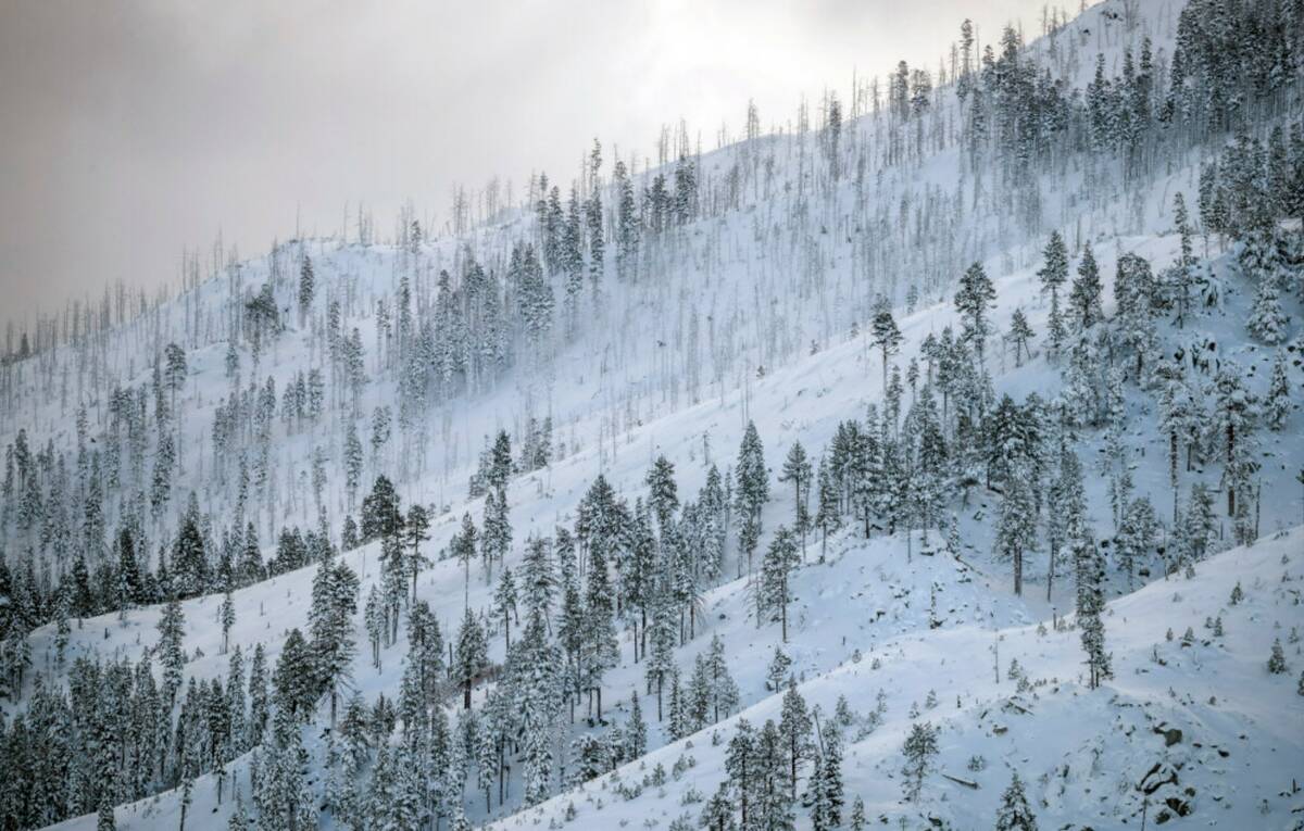 A coat of fresh snow is seen on a mountain in South Lake Tahoe, Calif., in January 2023. (Steph ...