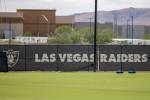 Raiders add promising DE through international program