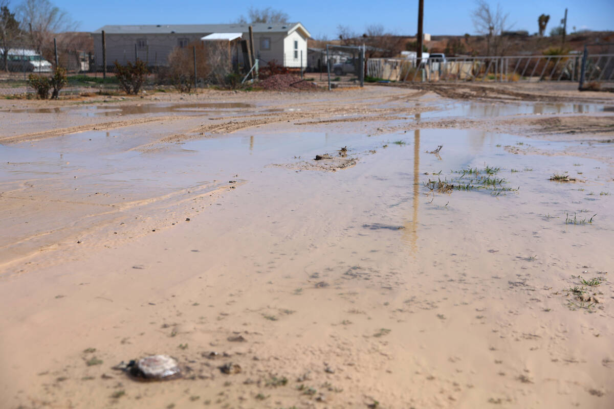 The Lytle Ranch neighborhood in Moapa, Nev., is seen on Thursday, March 16, 2023. Heavy rains f ...