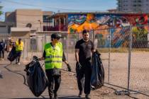 More than 100 people showed up for Findlay Volkswagen's Earth Day cleanup on April 22 in the Ar ...