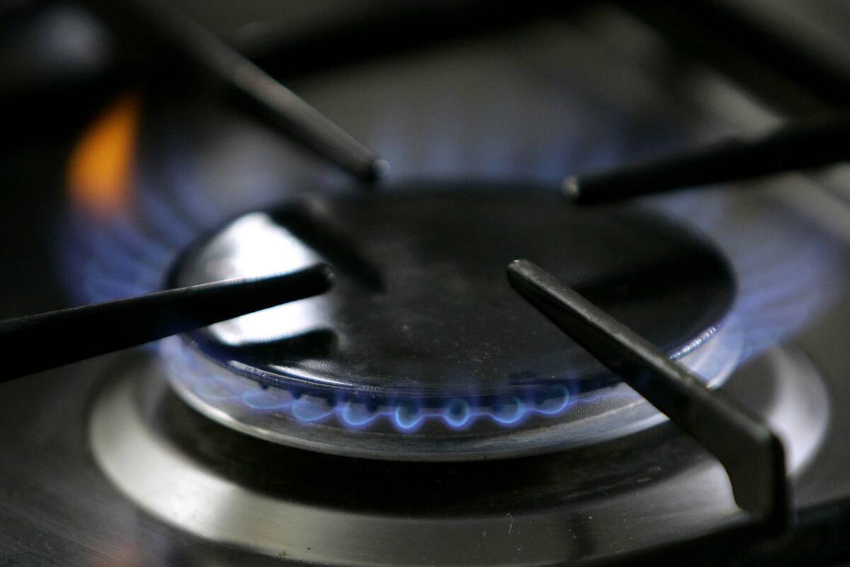 FILE - A gas-lit flame burns on a natural gas stove. The city of Berkeley, Calif., will likely ...