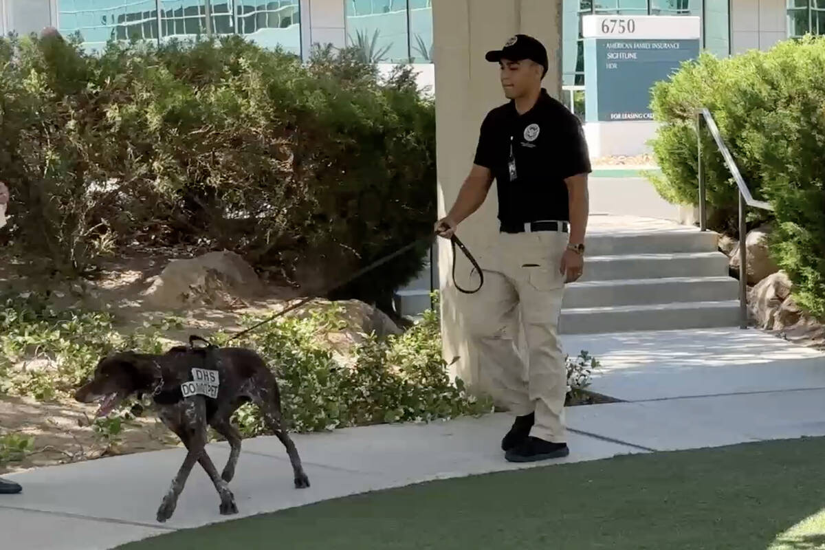 Koa Purugganan, a canine handler with the Transportation Security Administration, walks with hi ...