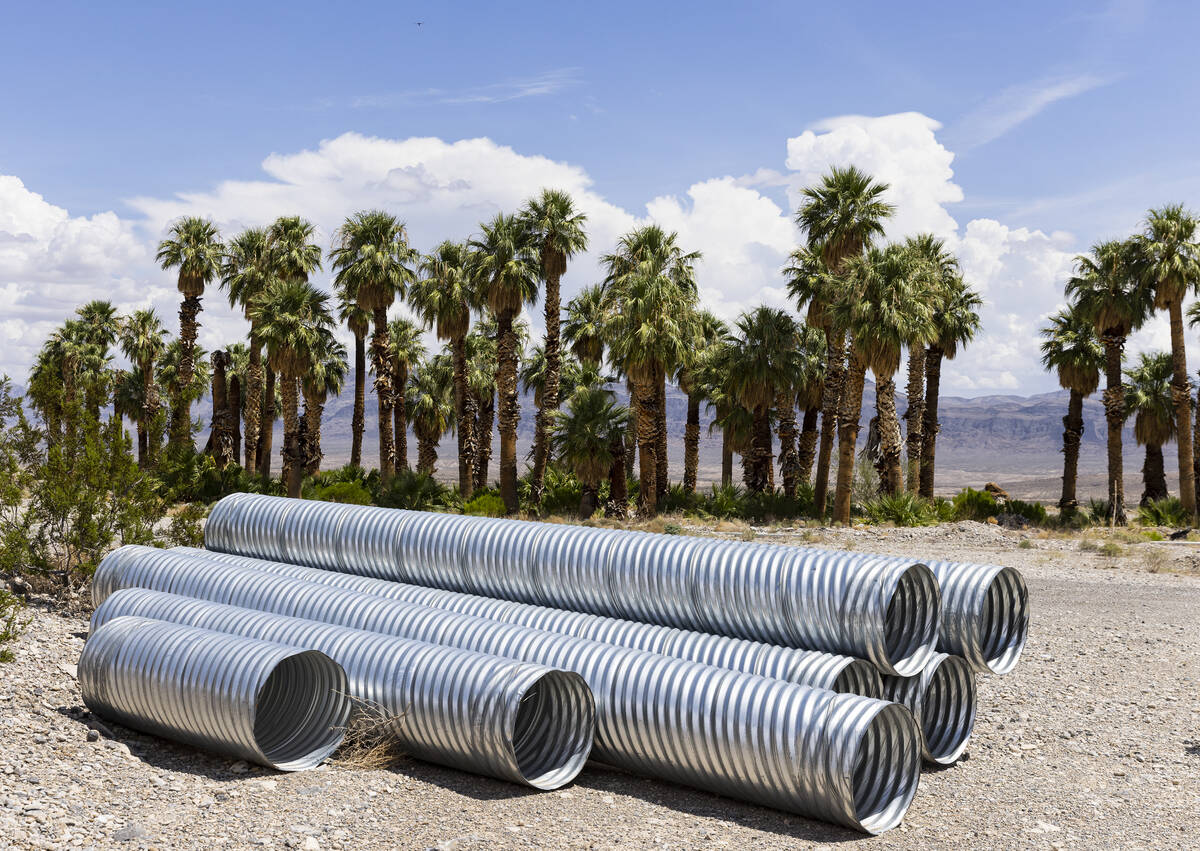 Water pipes and palm trees are seen at the proposed Coyote Springs development near Coyote Spri ...