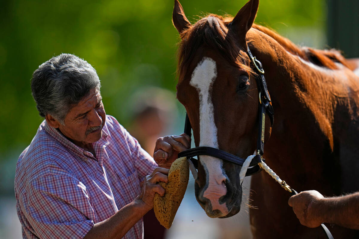 Kentucky Derby winner Mage is bathed after a workout ahead of the 148th running of the Preaknes ...