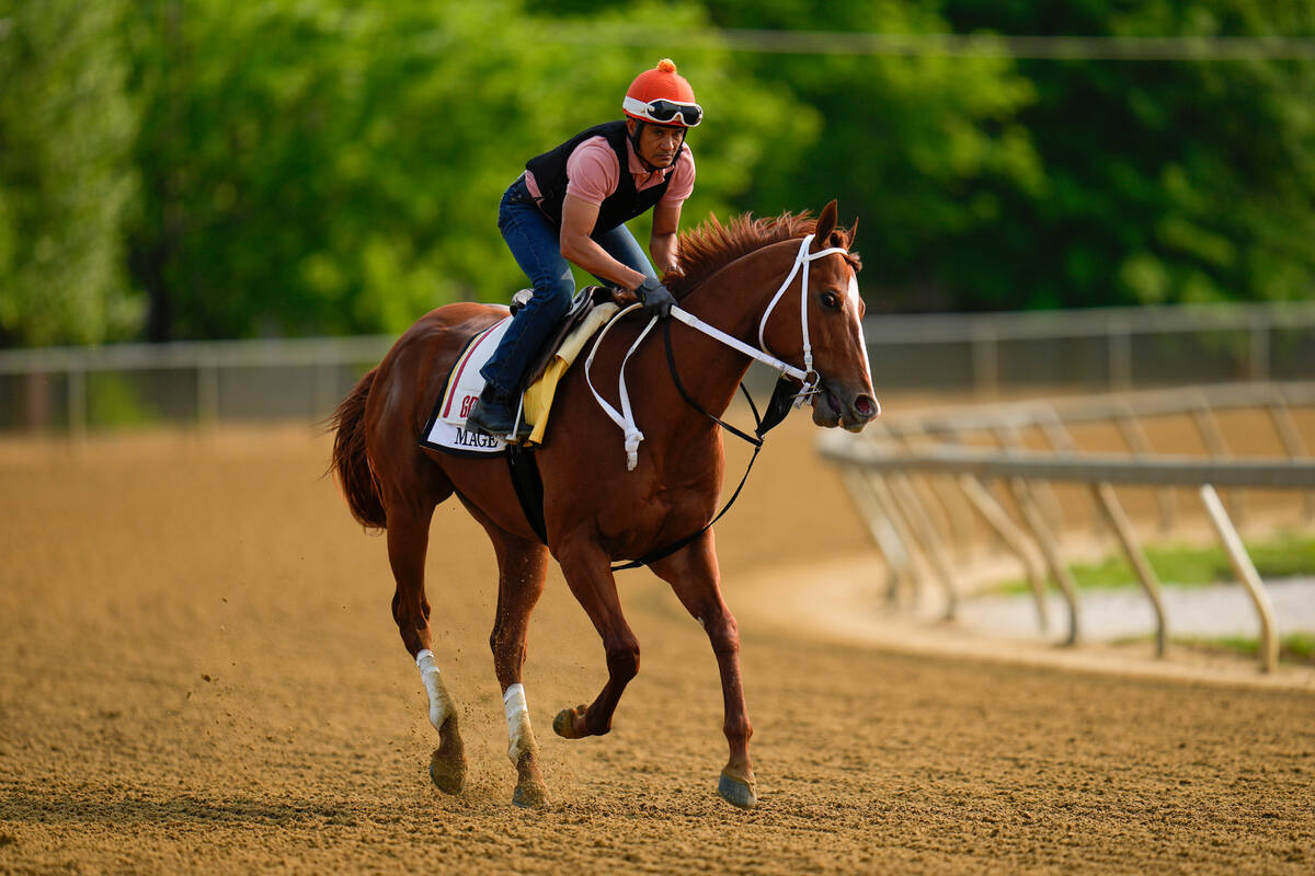 Preakness Stakes entrant Mage works out ahead of the 148th running of the Preakness Stakes hors ...