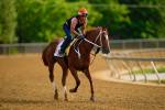 Odds, horse-by-horse analysis for Preakness Stakes