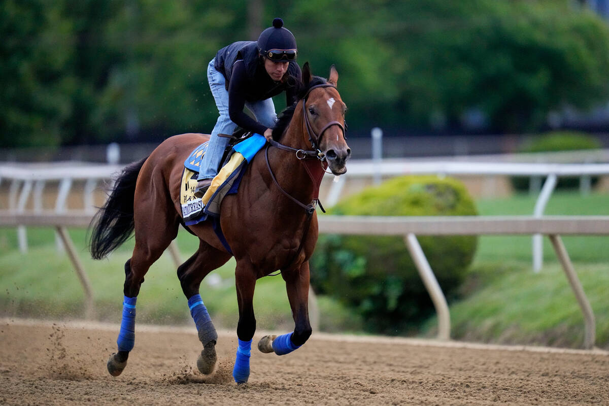 Preakness Stakes entrant National Treasure works out with an exercise jockey ahead of the 148th ...