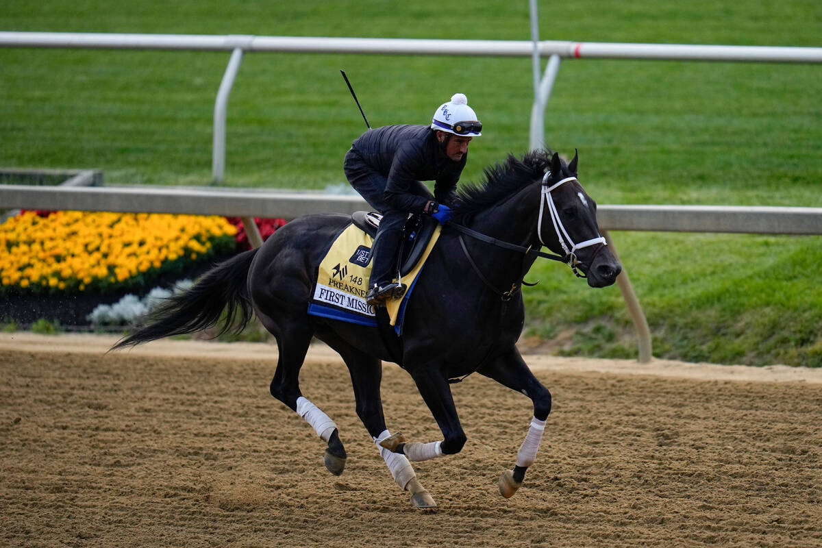 Preakness entrant First Mission works out ahead of the 148th running of the Preakness Stakes ho ...
