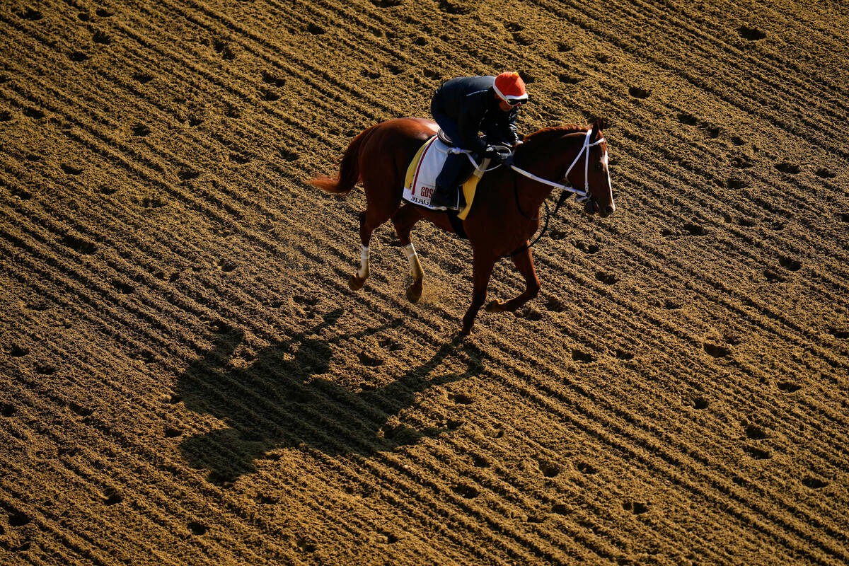 Kentucky Derby winner Mage works out ahead of the 148th running of the Preakness Stakes horse r ...