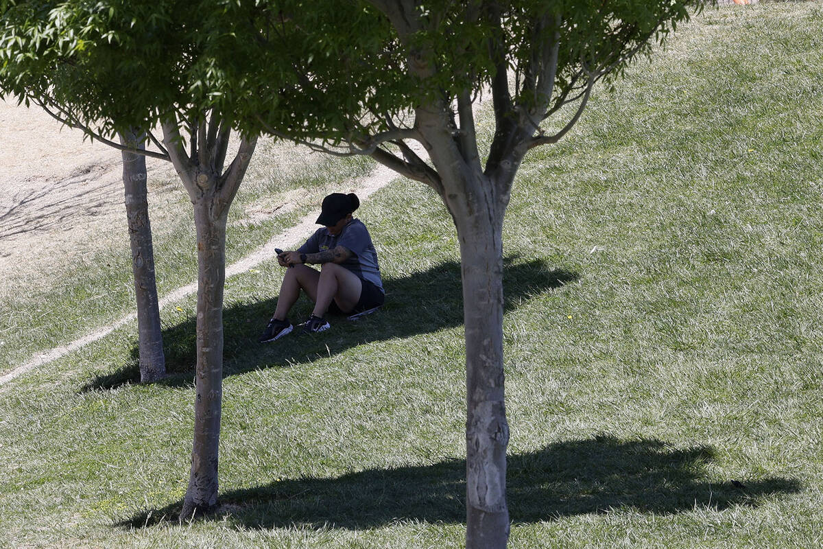 Shade will be in demand in Las Vegas through the weekend with sunny skies expected much of the ...
