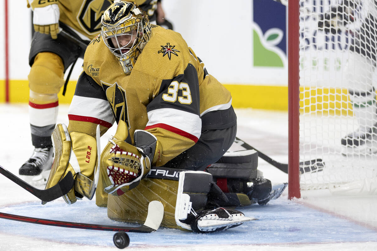 Getting to know the other two goalies on the Bruins' playoff