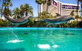 End of an era: Last 3 Mirage dolphins relocated