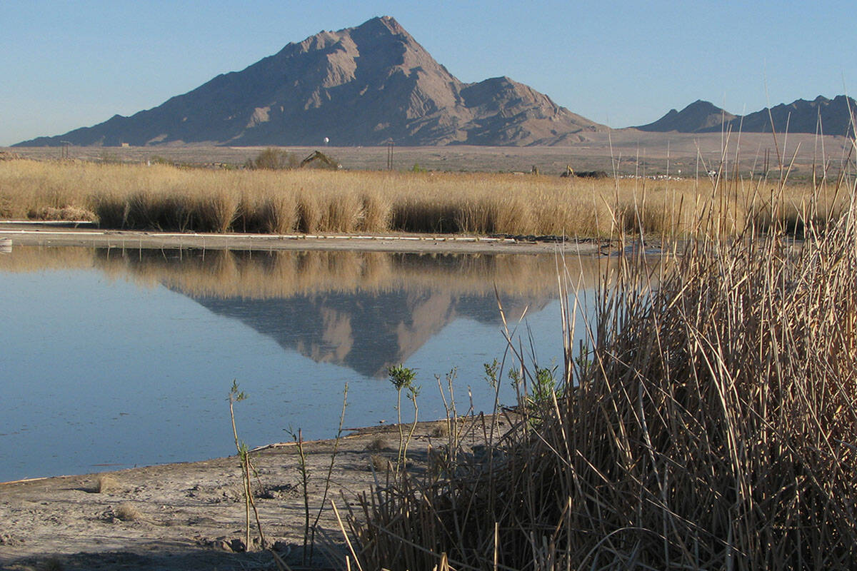 A view of Frenchman Mountain from the Clark County Wetlands Park. (Las Vegas Review-Journal)