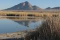 Nevada’s next national monument may be in east Las Vegas